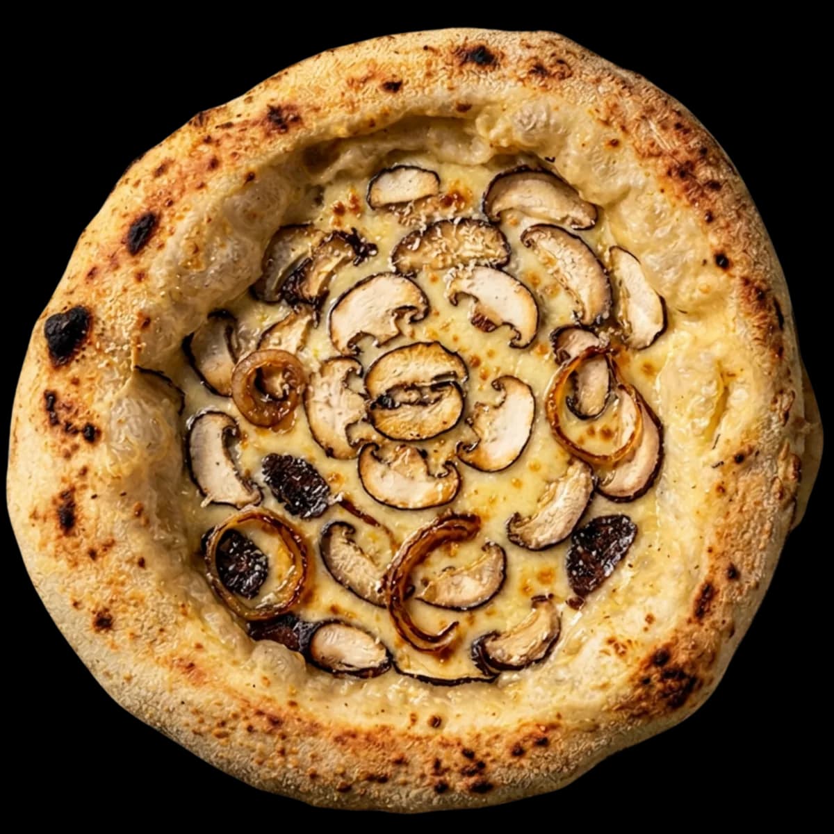 Fly High Mushroom pizza